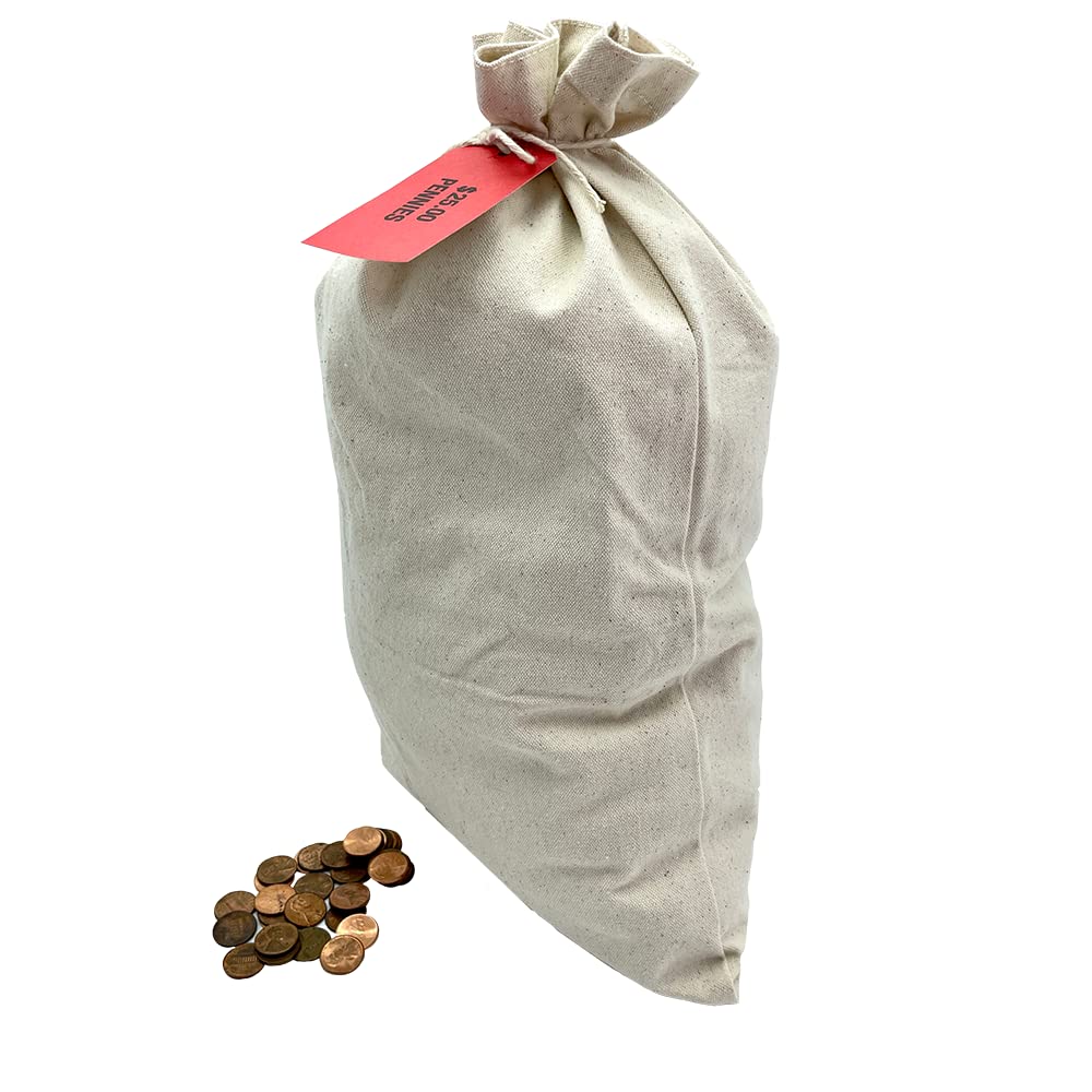 Huron Canvas Commercial Heavy Duty Coin Currency Bank Deposit Bag 12x19in