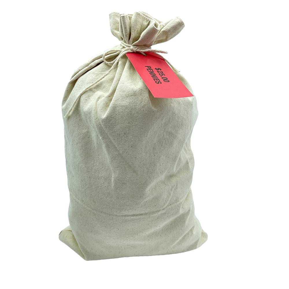 Huron Canvas Commercial Heavy Duty Coin Currency Bank Deposit Bag 12x19in